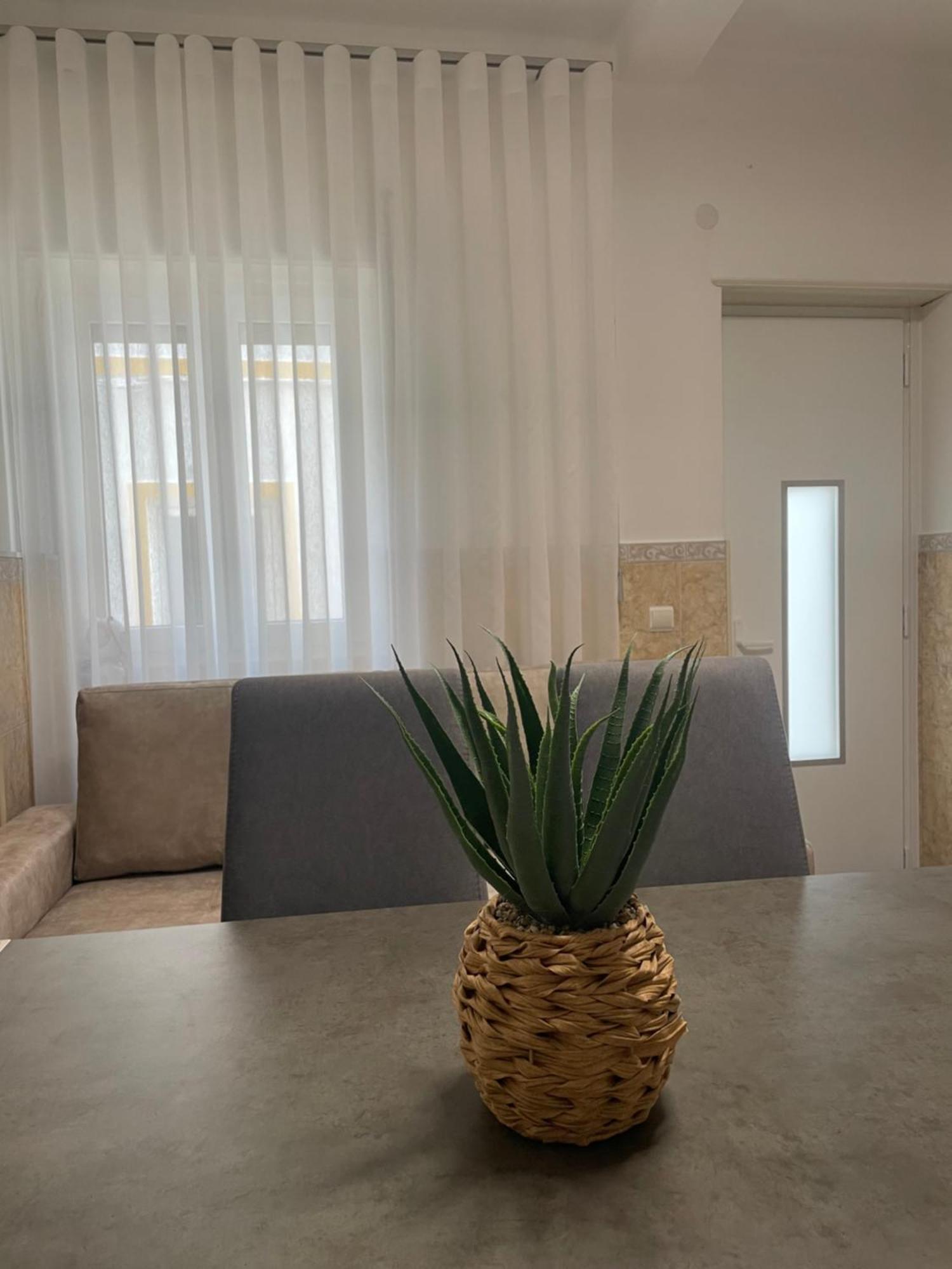 Dina House Quinzico Nazare